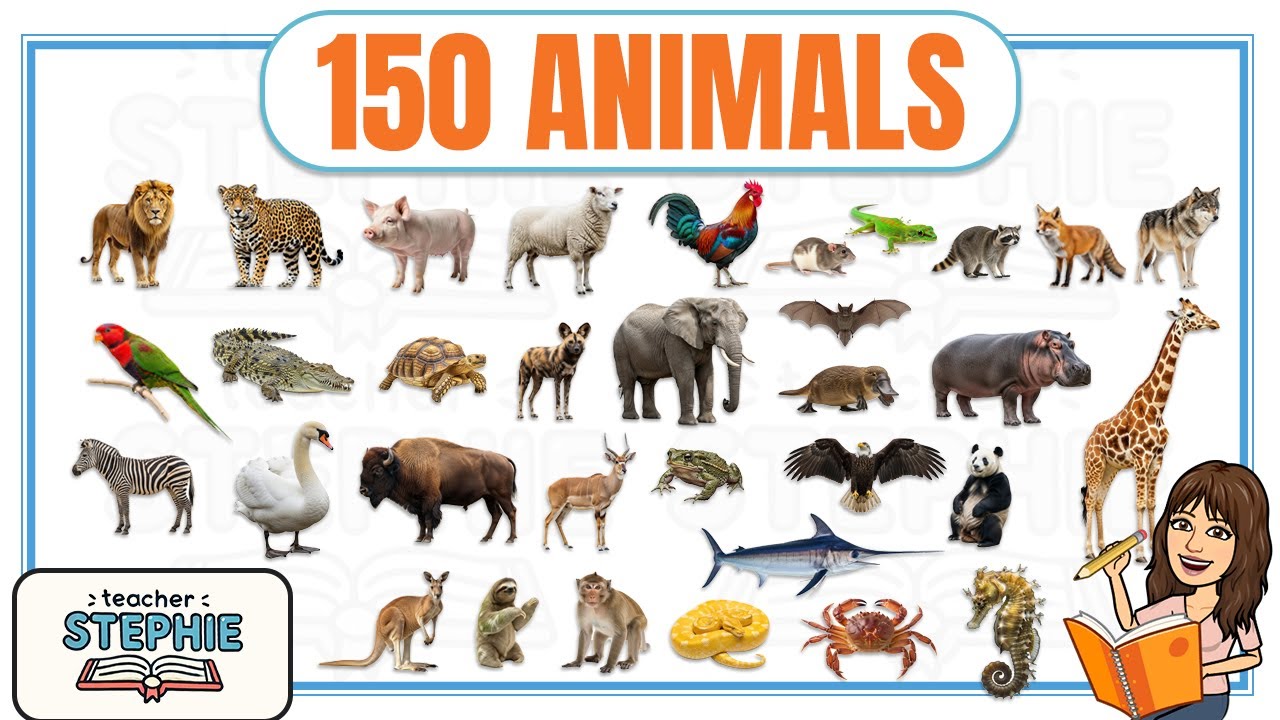 150 Animals for Kids | Learn Animal Names with Pictures - YouTube