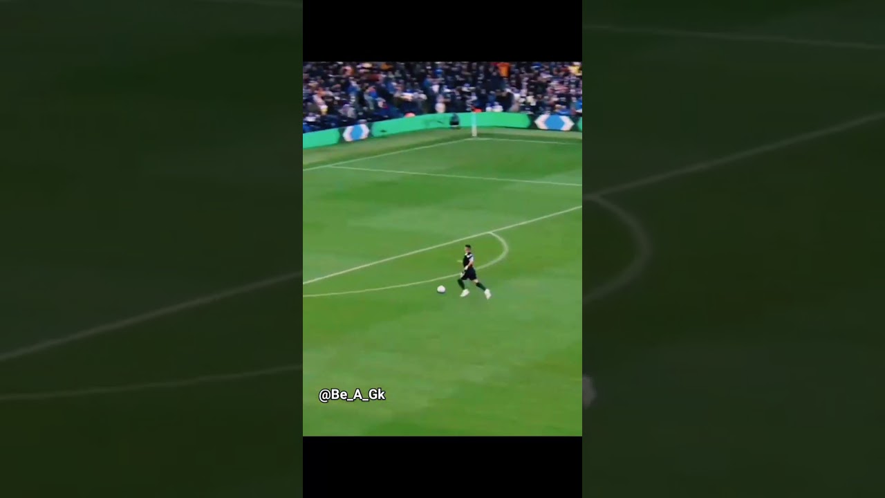 Illan Meslier saves level 1-100 