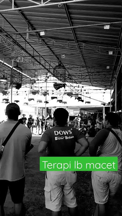 terapi lb macet jadi gacor,,  bukan kawan