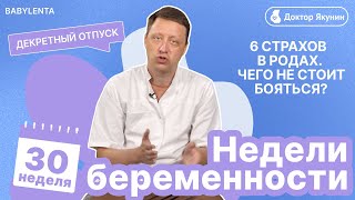 30 неделя беременности как выглядит ребенок, что происходит, УЗИ, шевеления, страх, декретный отпуск