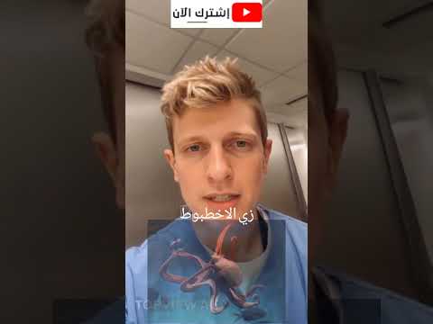 كائنات دمها مش احمر  اكسبلور