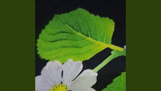 Download Lagu Mucabberu massaile MP3