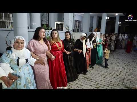 Şırnak Silopi Düğünleri