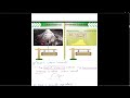 Contour survey