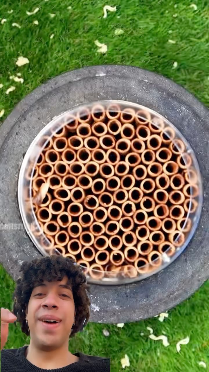 الله يقرفك ?
