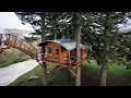 Free Treehouse Plans And Designs Free Treehouse Plans And Designs