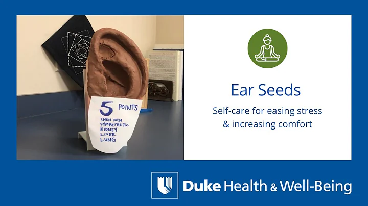 Ear Seeds Overview by Janet Shaffer, LAc Acupunctu...