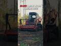 Watch McLaren Forestry Mulcher turn trees into fine mulch - fast #mulching #takeuchi #forestry