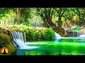 Study Music, Concentration, Focus, Meditation, Memory, Work Music, Relaxing Music, Zen, Study, ☯3655