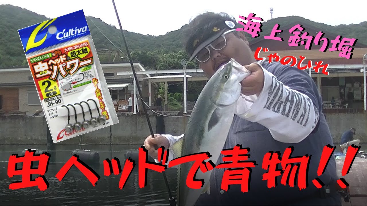 150 海上釣り堀 虫ヘッドで青物 Youtube
