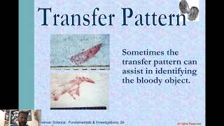 Blood Spatter & Blood Stain Patterns
