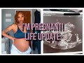 I’m Pregnant! Life update!