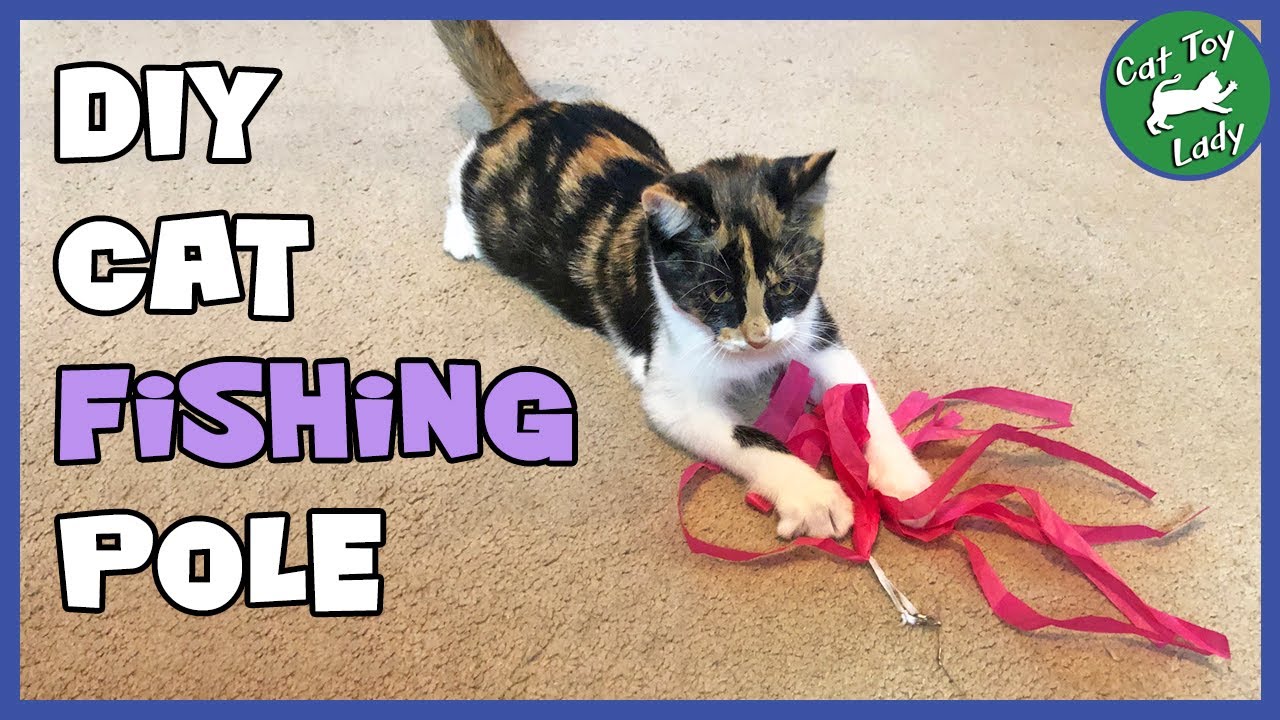 How to make DIY Cat Fishing Pole with Changeable Lures 