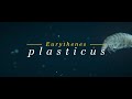 WWF - Eurythenes Plasticus