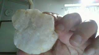 Chick of Titan 2023 WIN 20230322 10 44 01 Pro2023Titanchick .avi