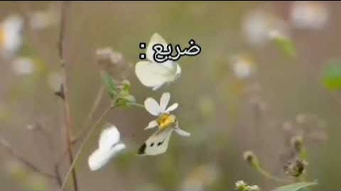 معانى كلمات سورة الغاشيه