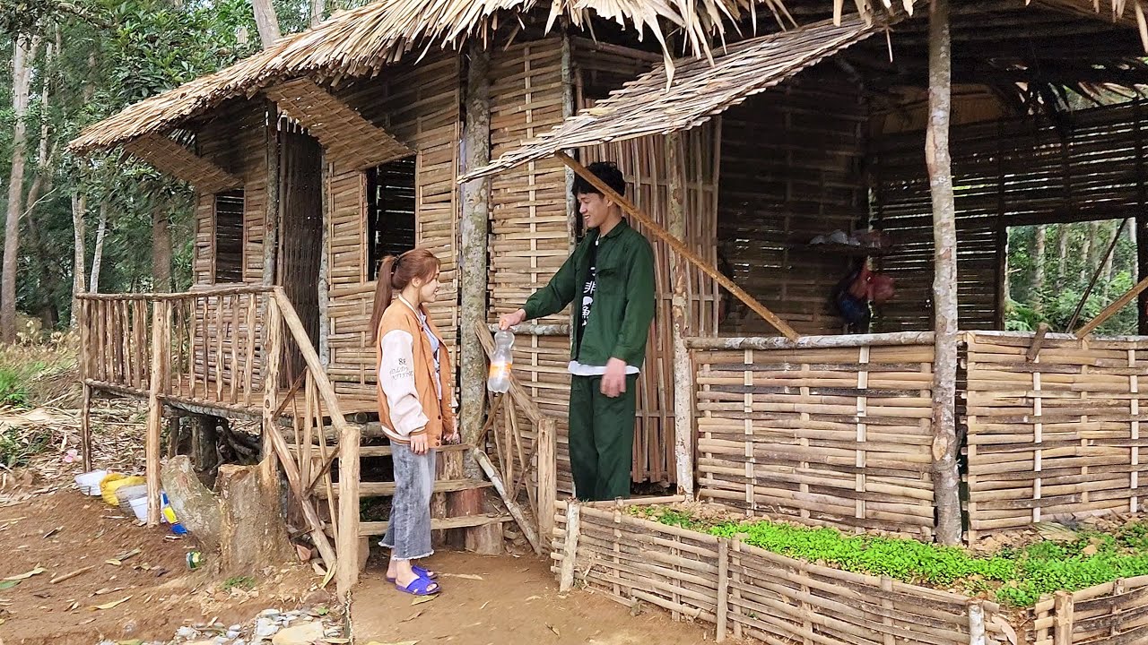 Living Off Grid in Forest Cabin, Build Bamboo Shelter Together, New life of Young Couple