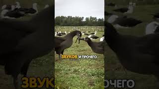 ПРИРОДА УДИВИТЕЛЬНА!🤩🤩🤩
