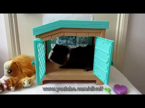 Little Live Pets Mama Surprise Guinea Pig Review - The Mummy Bubble