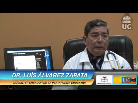 ENTREVISTA DR  LUIS ÁLVAREZ