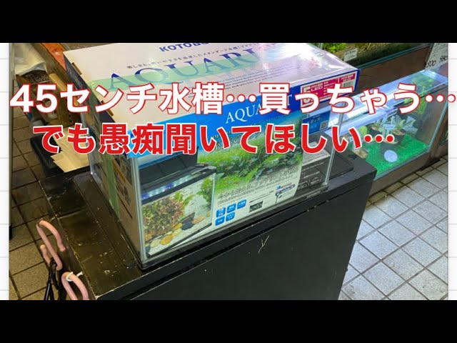 I'm going to buy a 45cm aquarium I need someone to listen to my