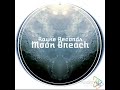 Moon Breach #raynerecords