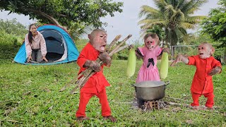 So Adorable! Monkey Su & Kuku Mimi Secretly Organize Camping Outdoors Surprise Mom