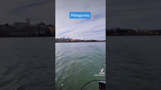 Patagones - Provincia de Buenos Aires - Argentina.