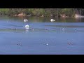 CKC 2018 - SMK1 500 m FINAL B - Sprint NTT1 - EÉN1 Vitesse - Gainesville, GA