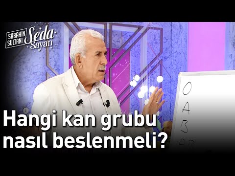 Hangi Kan Grubu Nasıl Beslenmeli? - Sabahın Sultanı Seda Sayan