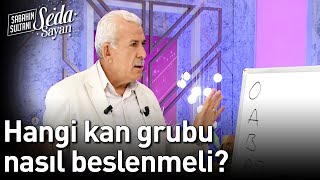 Hangi Kan Grubu Nasıl Beslenmeli? - Sabahın Sultanı Seda Sayan