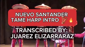 Nuevo Santander TAME Harp Intro Transcription