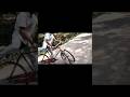 The Unseen Experiment: Reimagining the Ride #mental experiment #shorts