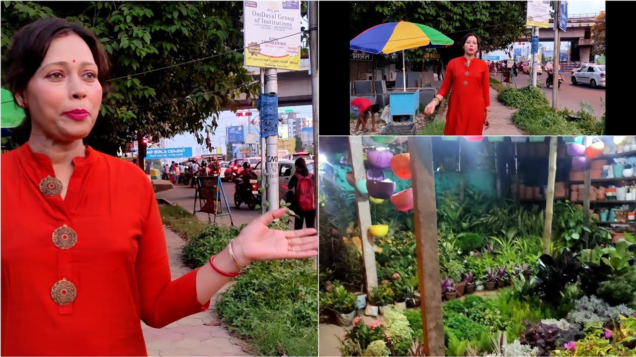 Nursery Visit Vlog Beautiful Plant Nursery in Patuli, Kolkata YouTube