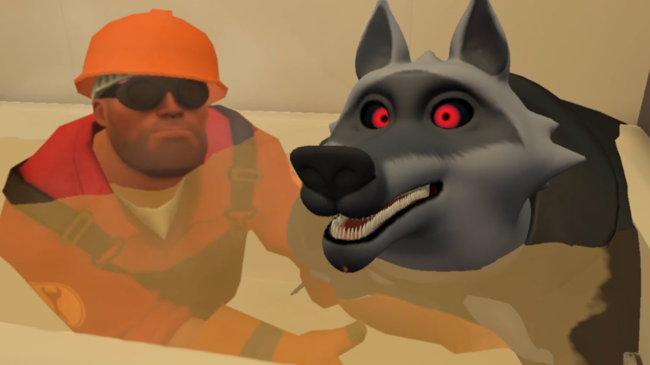 Wspólna kąpiel z Rockym ( ͡° ͜ʖ ͡°)