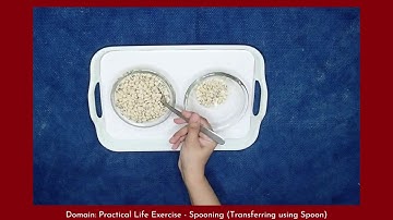 Montessori Practical Life Exercise - Spooning: Transferring small objects using spoon