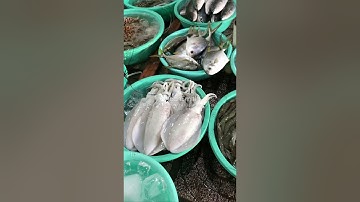 Bài tân cổ Bóng Chiều Quê Mẹ Tác Phẩm đạt giải Nhì tại Kiên Giang