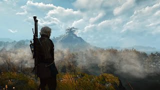 you should turn off hud in the witcher 3