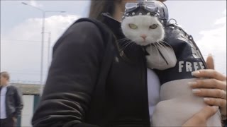 Открытие Мотосезона в Иркутске 2015. Байкер КОТ Открытие Мотосезона в Иркутске 2015. Байкер КОТ
