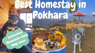 Nepal EP 07 : Best Homestay in Pokhara | Roadtrip from India