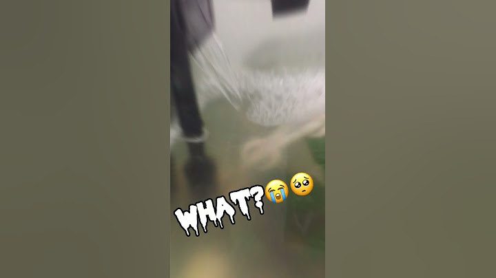 My axolotl was dead🥺