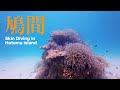 【鳩間島】真夏の八重山でシュノーケリング!|沖縄 | 石垣島|4K