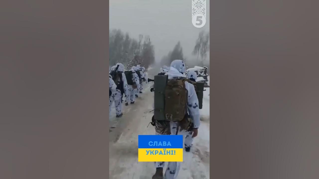 БІЛІ КОТИКИ 🥰 Слава #ЗСУ! - YouTube