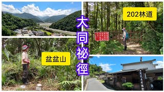 宜蘭大同祕徑~202林道環走盆盆山