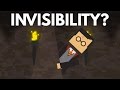 What Would It Take To Make A True Invisibility Cloak?