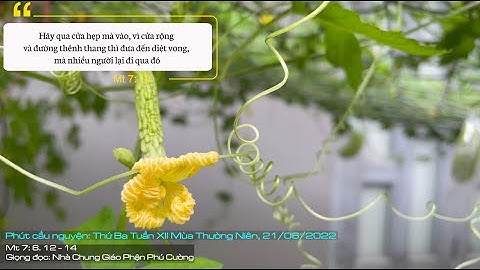 Phút Cầu Nguyện: Thứ Ba Tuần XII Mùa Thường Niên, 21/06/2022