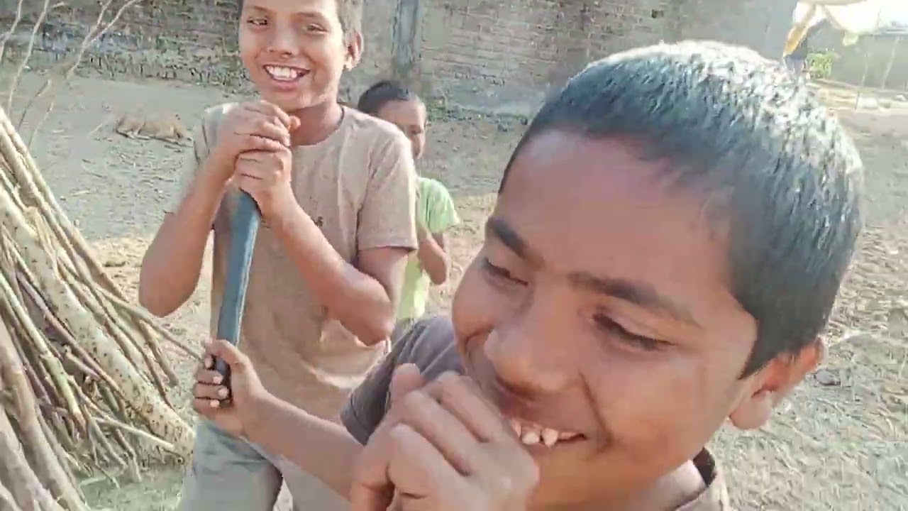 Bhai log ka holi ka lakadi chori ka hai