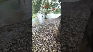 Hidden Gem River Peaceful Village Vibes Nature Lovers Special Pune