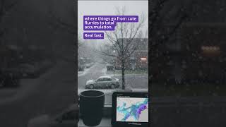 How I’m outsmarting this Nor'easter 🌨️ (No more guessing)