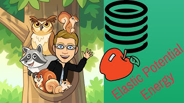 University Physics Grade 12: Exploring Elastic Potential Energy